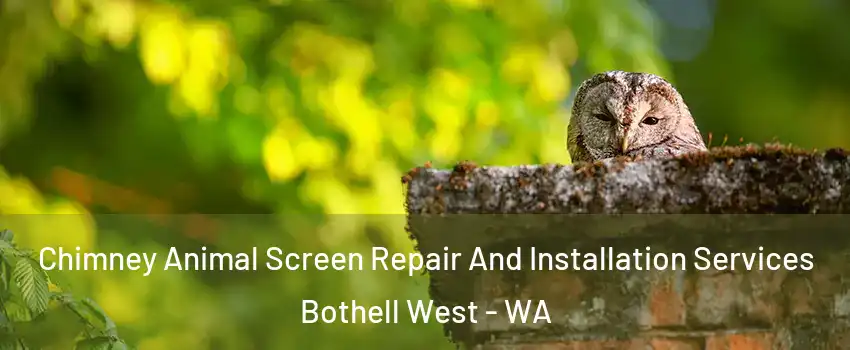 Chimney Animal Screen Repair And Installation Services Bothell West - WA
