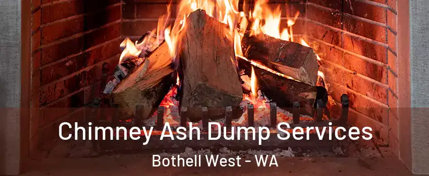  Chimney Ash Dump Services Bothell West - WA