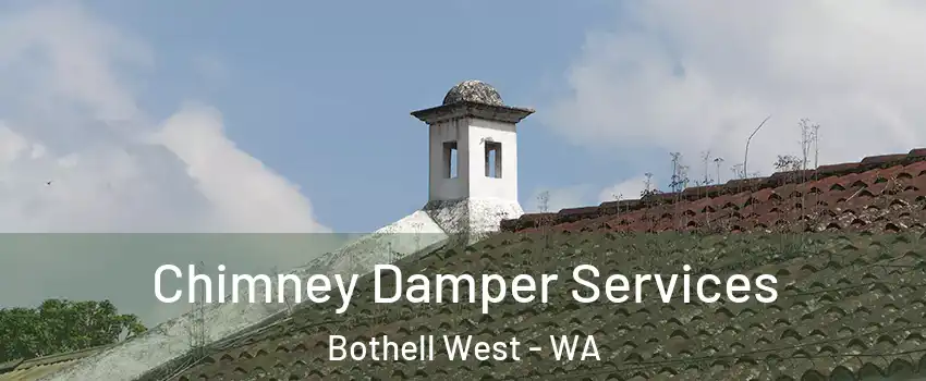 Chimney Damper Services Bothell West - WA
