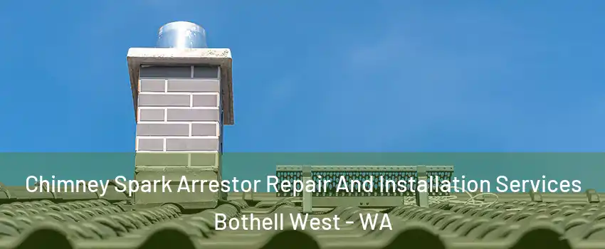 Chimney Spark Arrestor Repair And Installation Services Bothell West - WA