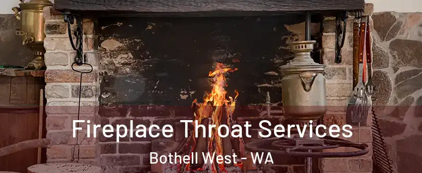  Fireplace Throat Services Bothell West - WA