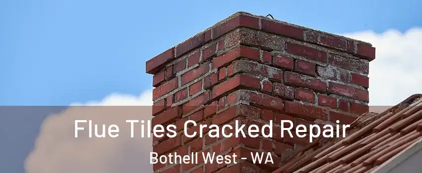  Flue Tiles Cracked Repair Bothell West - WA