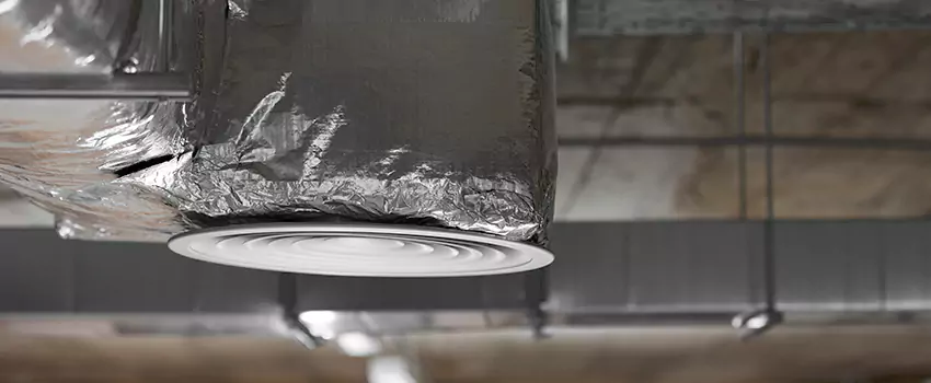 Signs of Dust Accumulation in Vents in Bothell West, WA